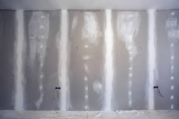 Best Drywall Removal and Disposal  in Watervliet, MI